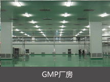 GMP廠房